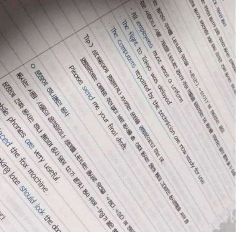 글쓰기에 재능이 있는 학생