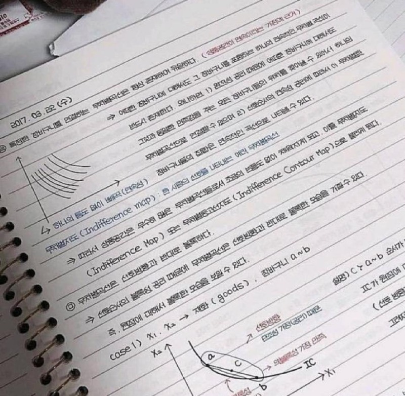 글쓰기에 재능이 있는 학생