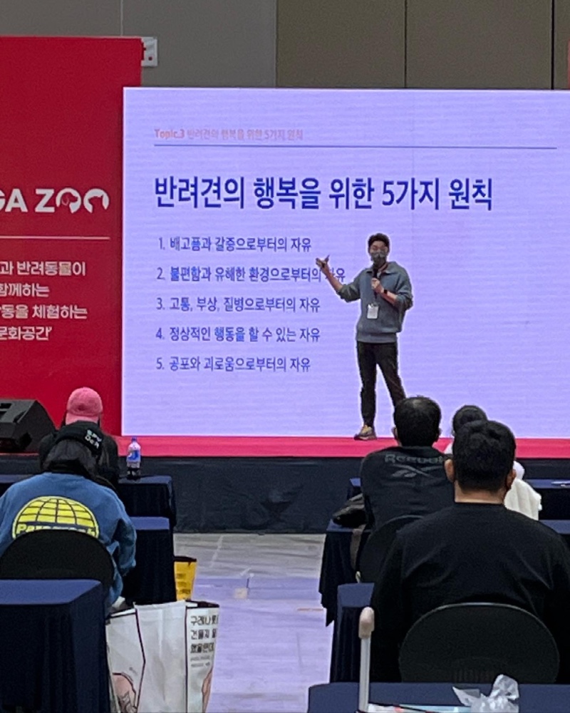 팻페어 메가쥬 일산 킨텍스