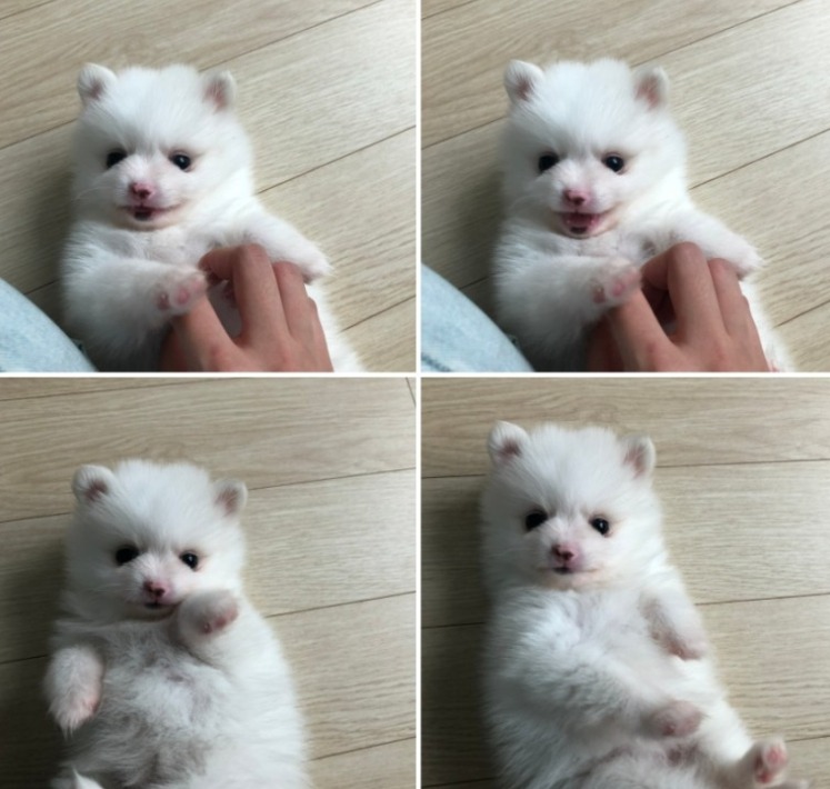 애기때 넘 이쁘죵