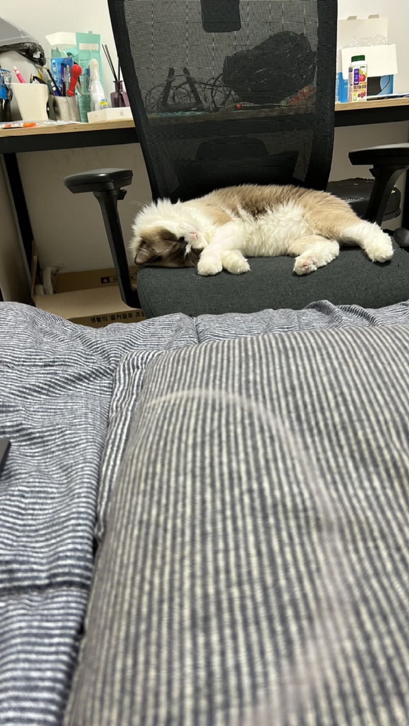 귀차니들 