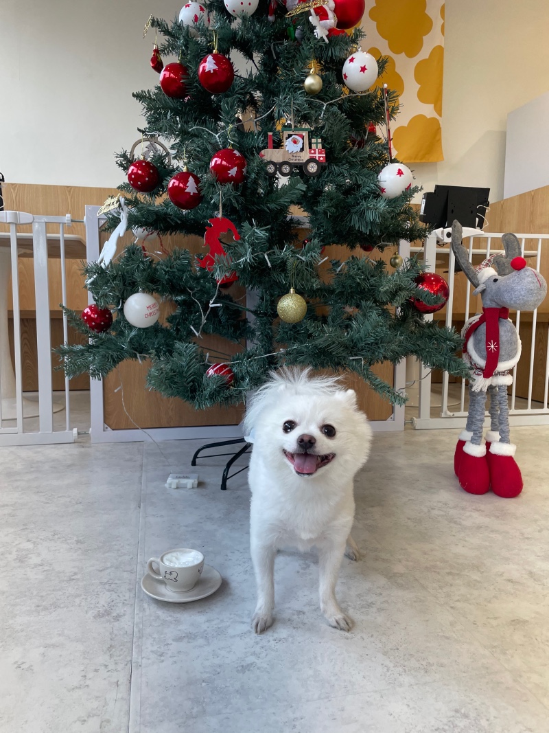 까치산 칠백상회