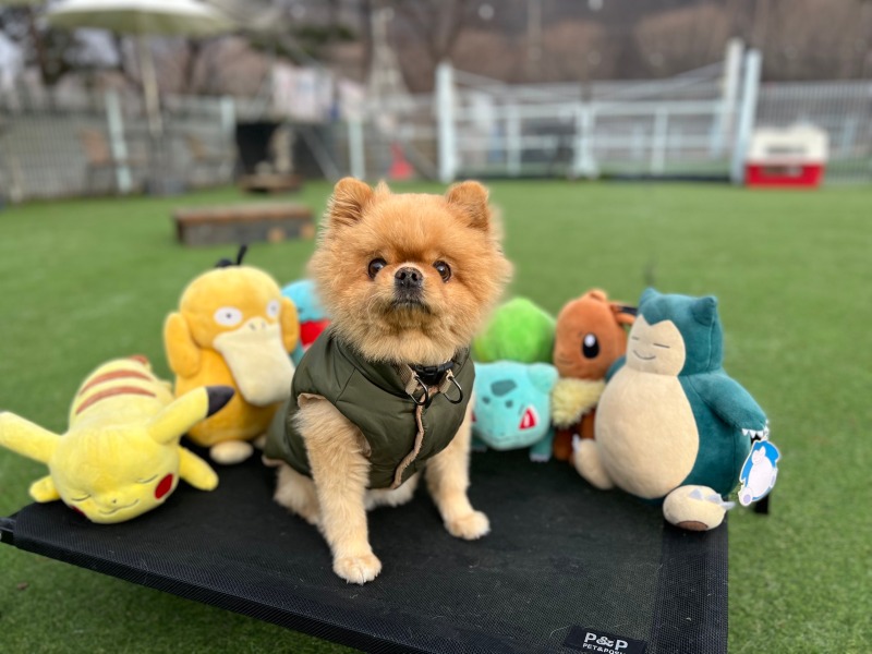 일산 바니버니 훈련소에서 훈련중..