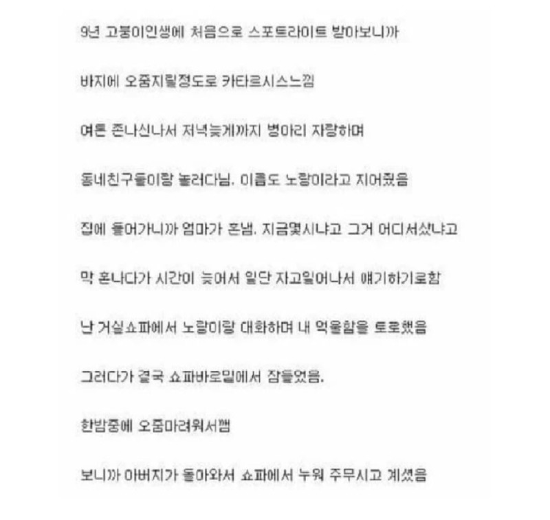 병아리 터진 썰