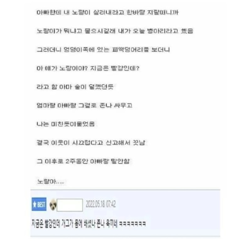 병아리 터진 썰