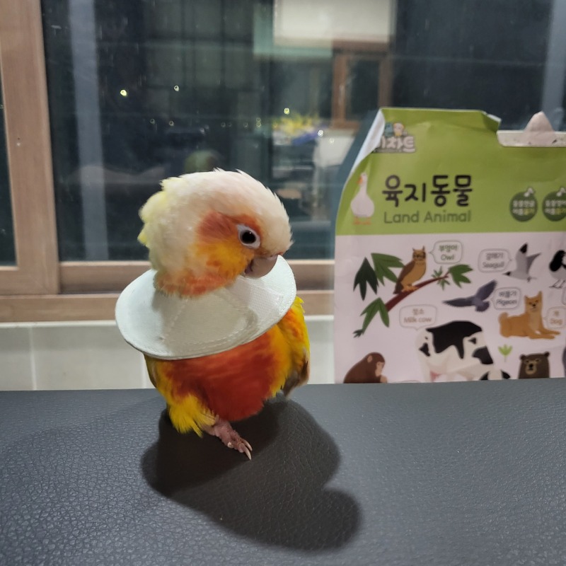 시지동물병원 너무 친절해서 좋아요!