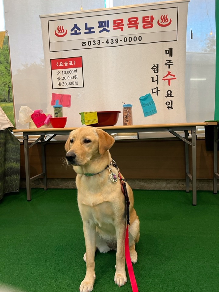 소노펫 