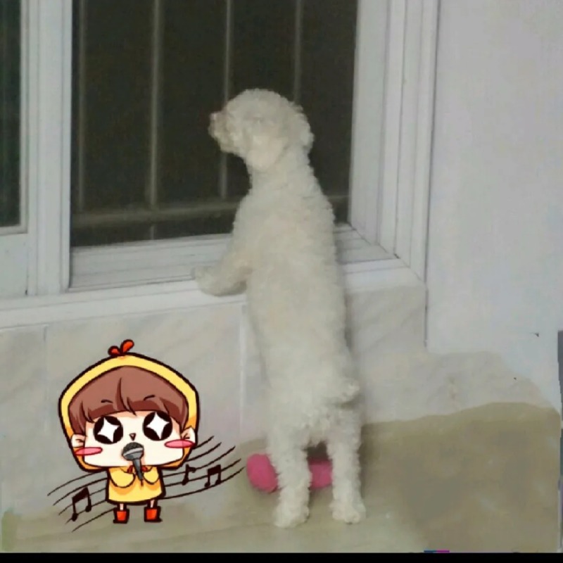 내인생의 보물..