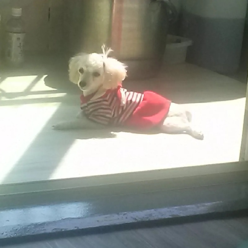 제 귀염둥이 올려요..