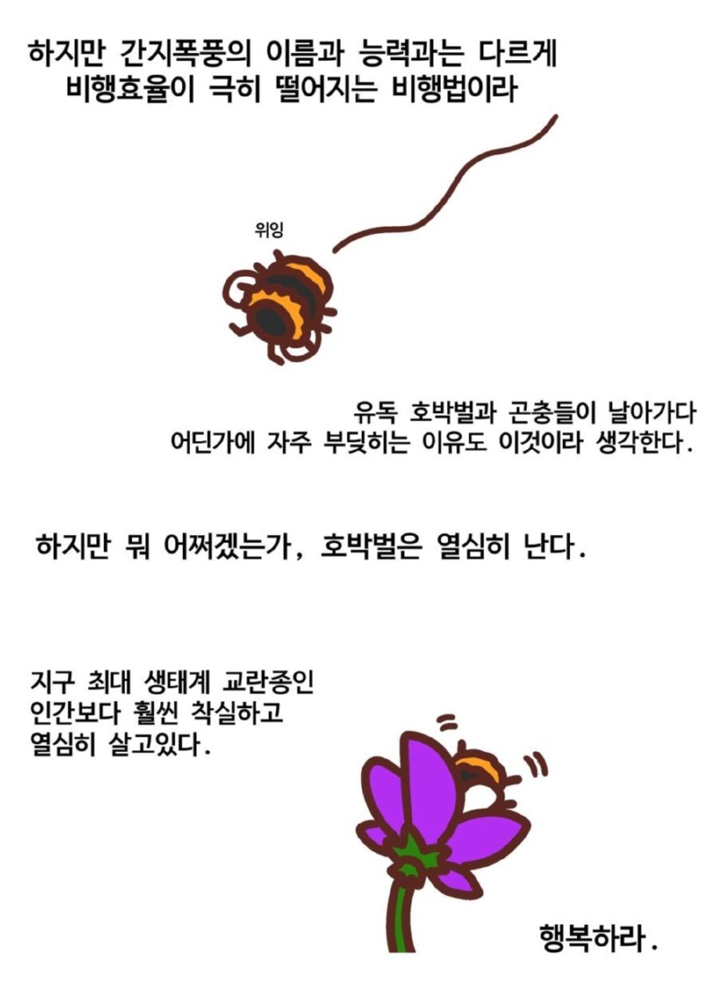 귀여운 호박벌이 날 수 있는 이유