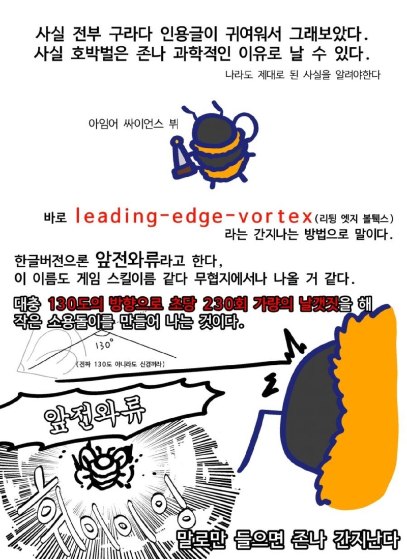귀여운 호박벌이 날 수 있는 이유