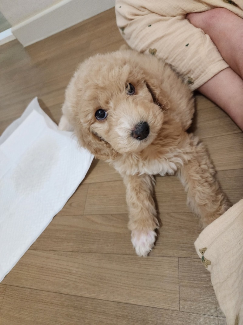 스탠푸 아리예요 ㅎㅎ