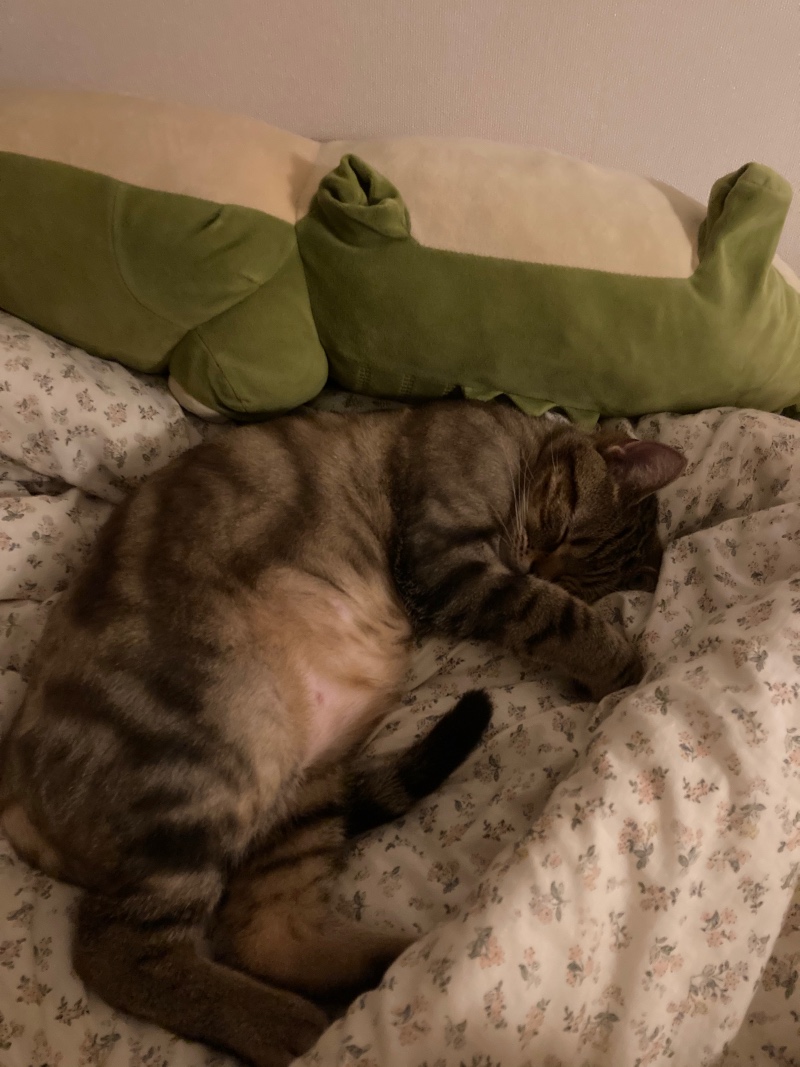 D4834A76-E1D7-4FE9-9F78-13025B7A697C.jpeg