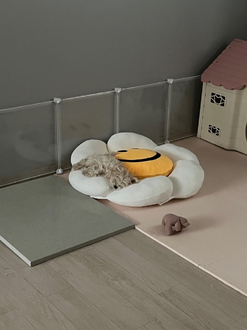 KakaoTalk_20221216_113348707_01.jpg