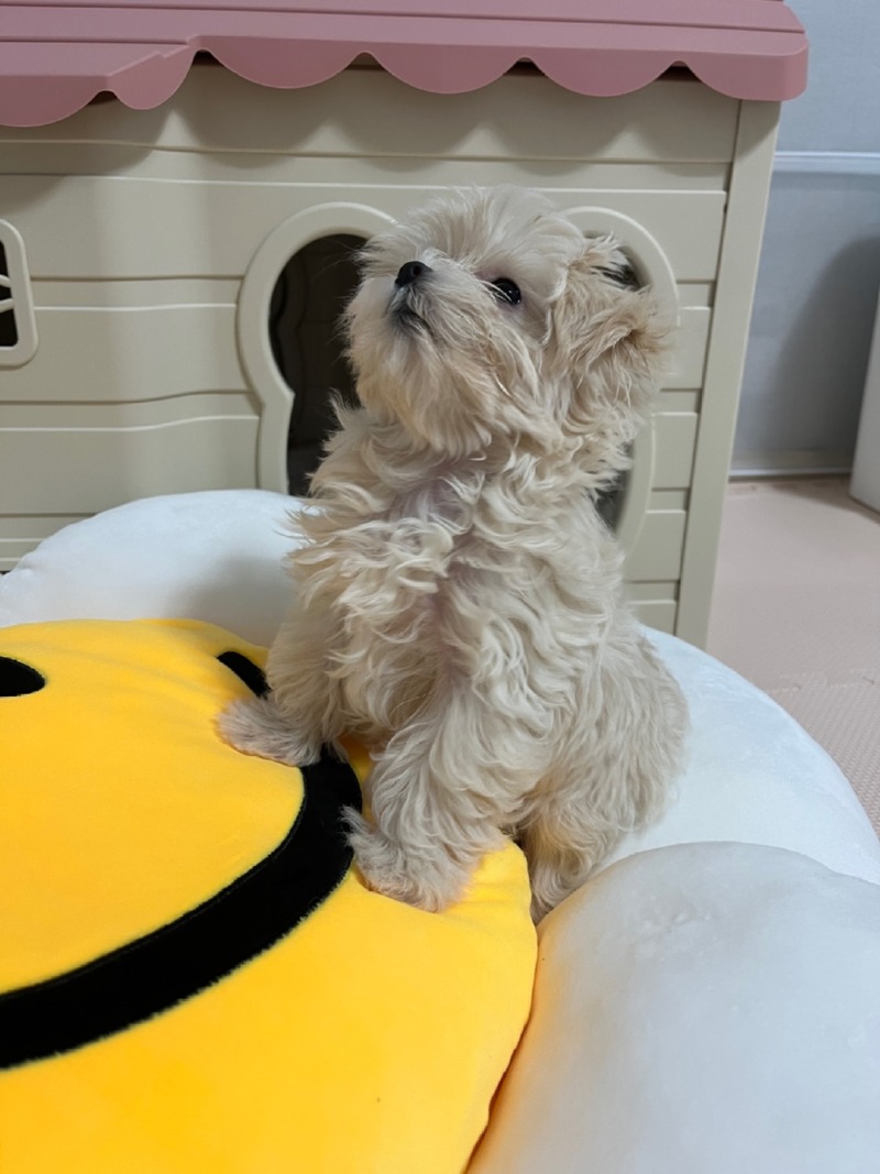 KakaoTalk_20221216_113348707_03.jpg