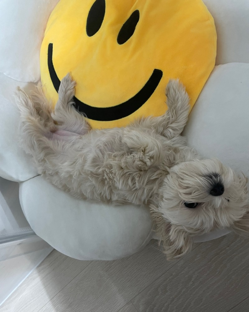 KakaoTalk_20221216_113348707_05.jpg