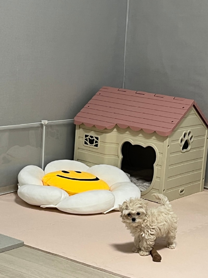 KakaoTalk_20221216_133228022.jpg