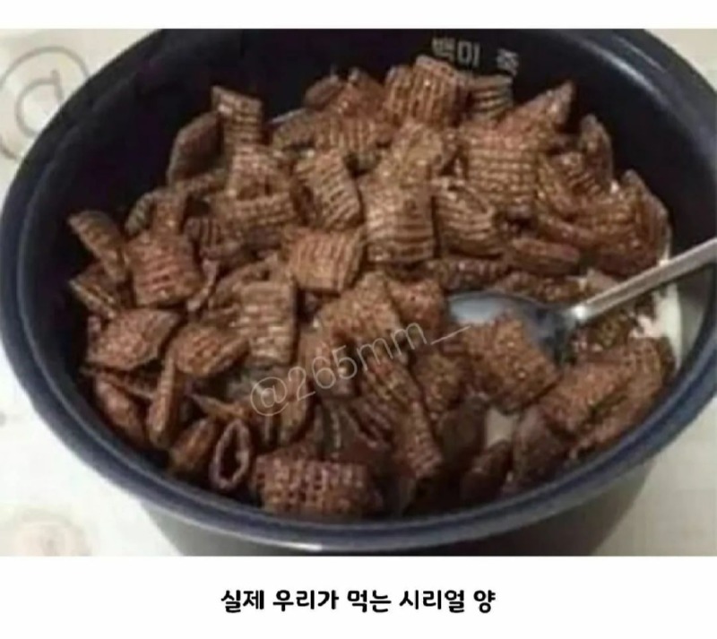 시리얼 먹는데 살 찌는 이유