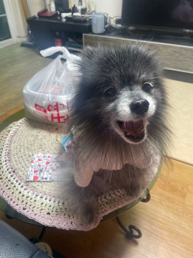 우리집 귀염둥이를 소개합니다^_^ 