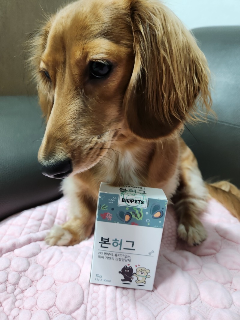 KakaoTalk_20220917_232659805_05.jpg