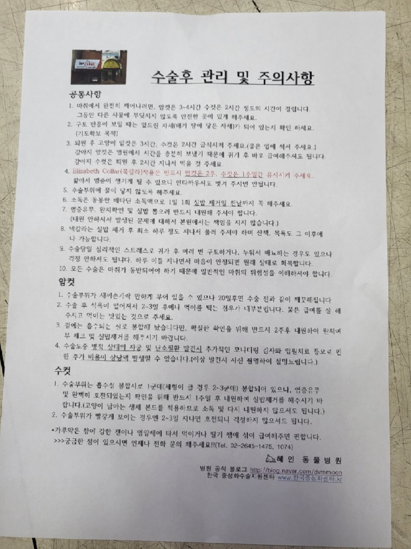 중성화 추천-혜인종합동물병원