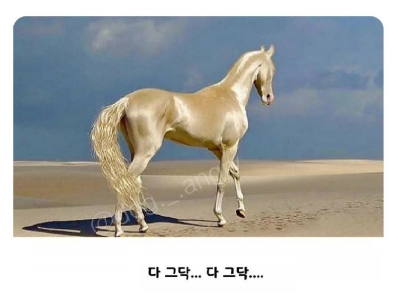 세상 부정적인 동물은???
