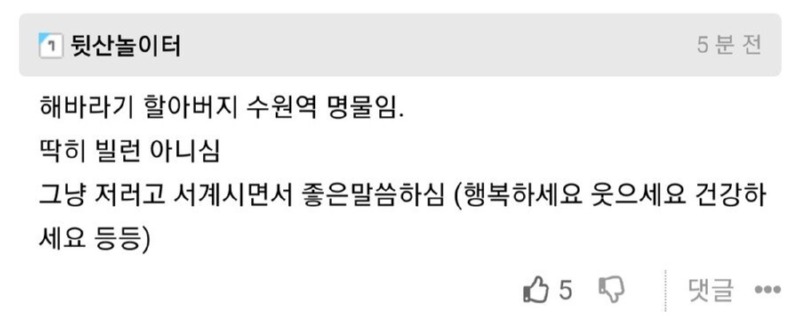 수원역 해바라기