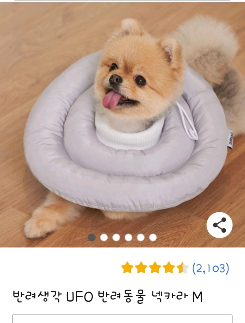 넥카라.jpg