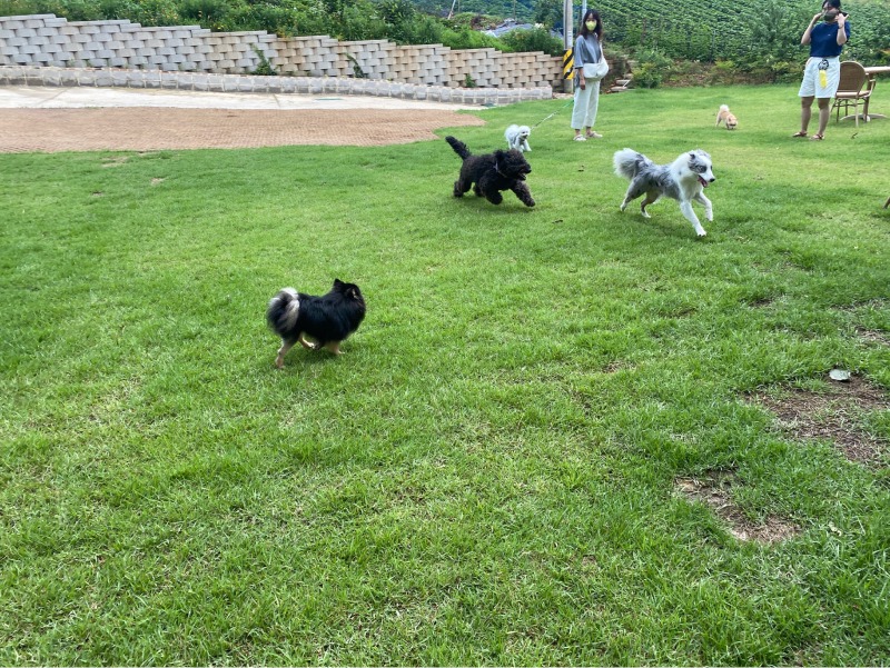 강화도 슬로우레인 방문후기 !!