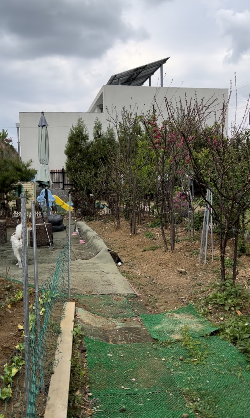 토토멍풀빌라