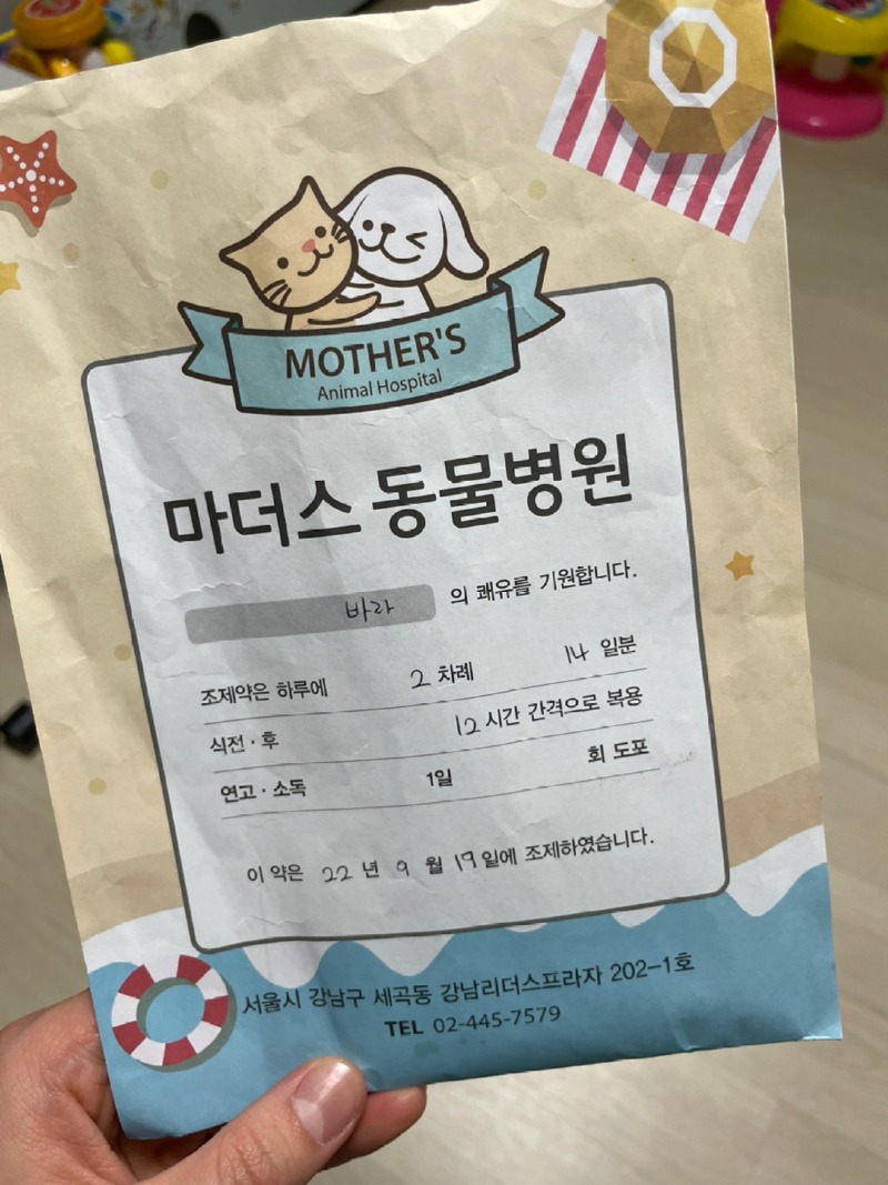 마더스 동물병원 