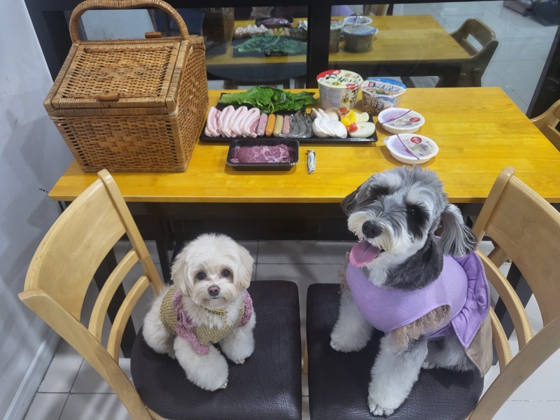 놀거리가 가득한 거제 퍼니펜션🙂