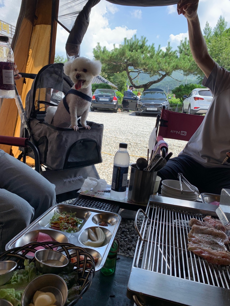 춘천 콧닭고숯불닭갈비 다녀온 후기~