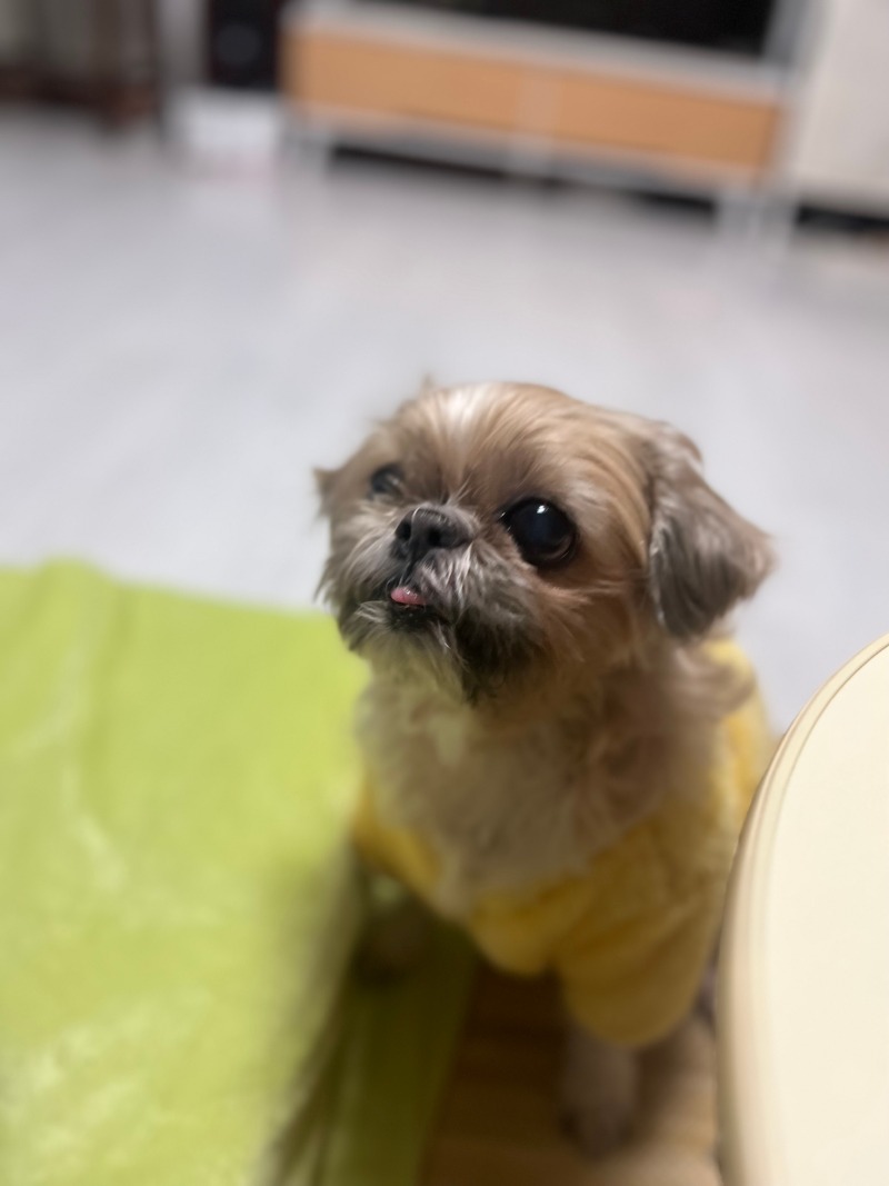 달콩.jpg