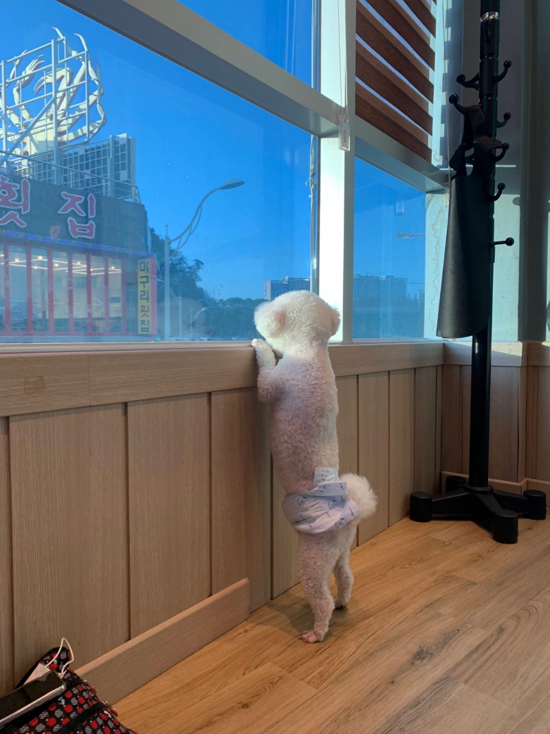 속초 명가횟집 추천합니다!!