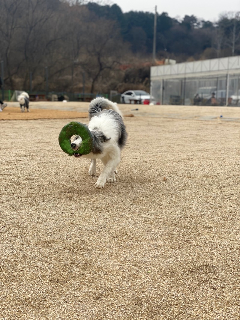 그라운독 다녀온 후기