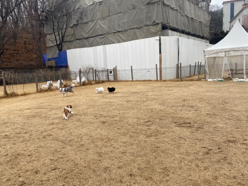 네이처독 다녀온 후기