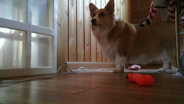 V210407-132632-910.jpg