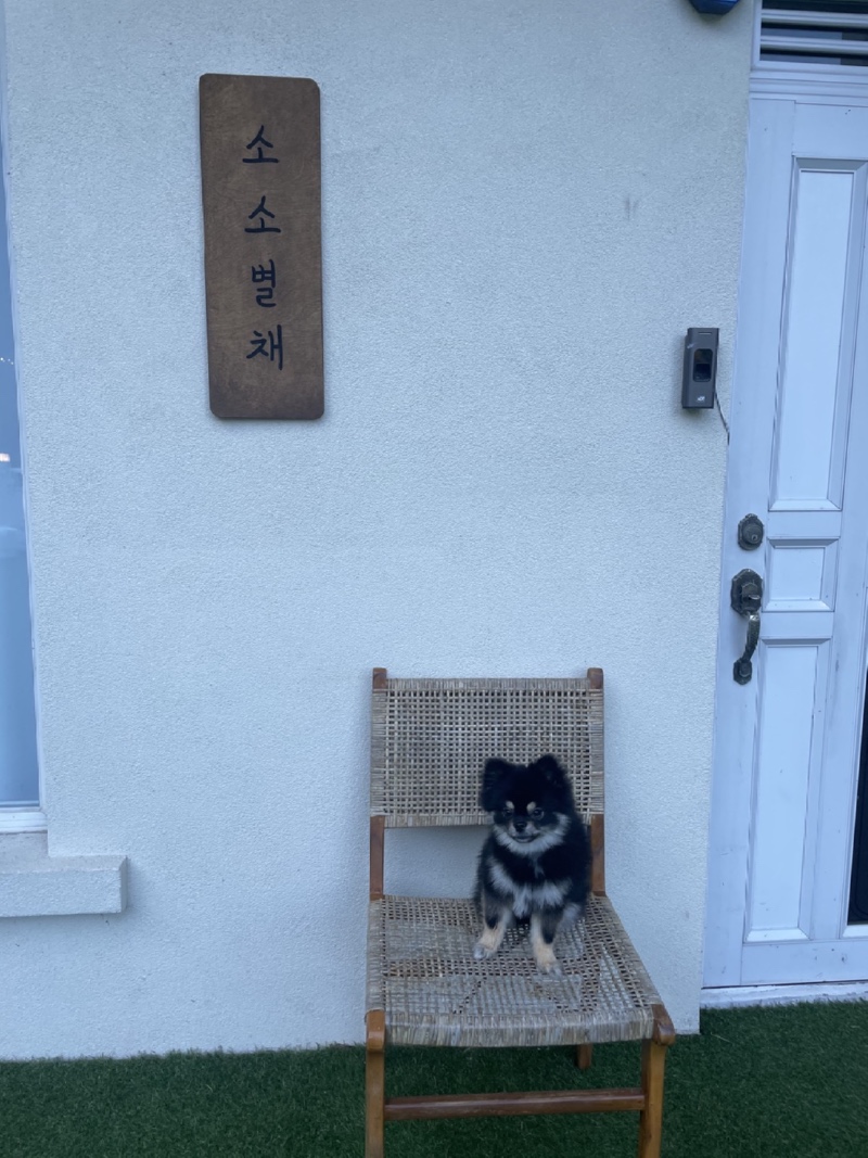소소온기 후기 남깁니다~