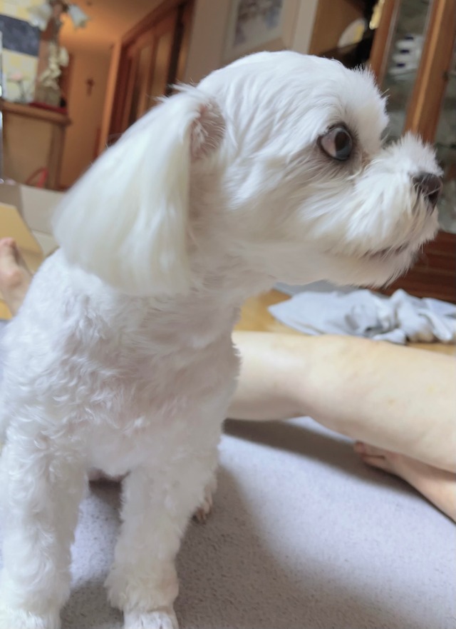 KakaoTalk_20220929_163040123.jpg