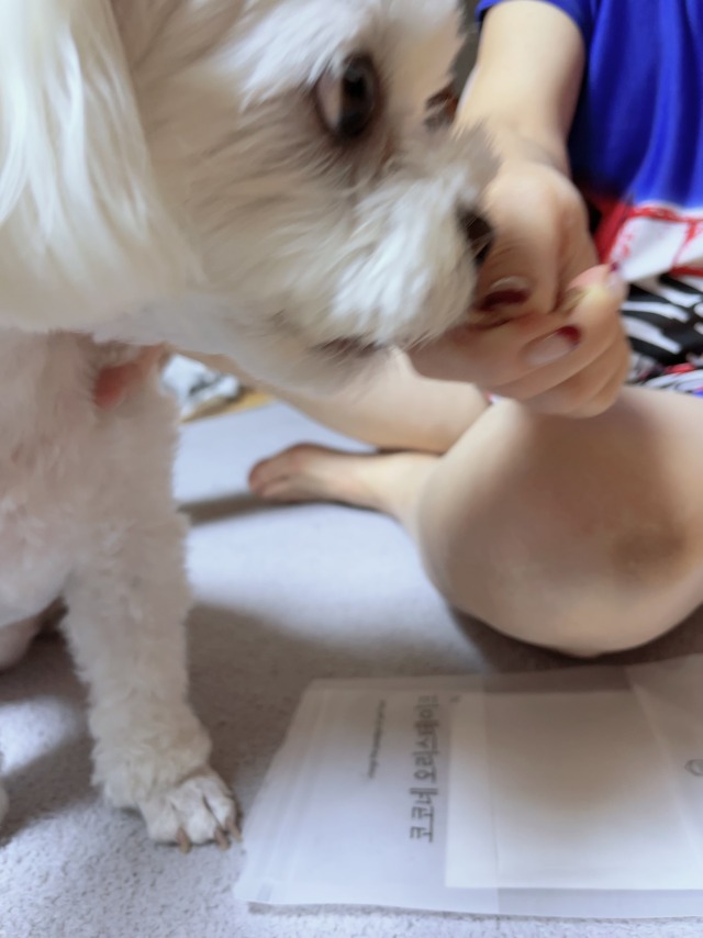 KakaoTalk_20220929_163041939.jpg