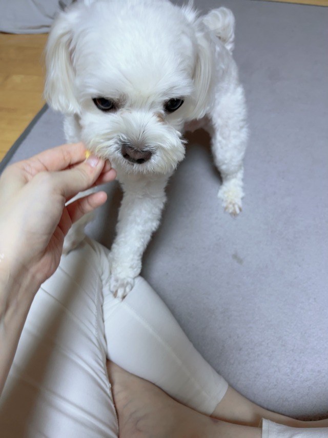 KakaoTalk_20220929_163037478.jpg