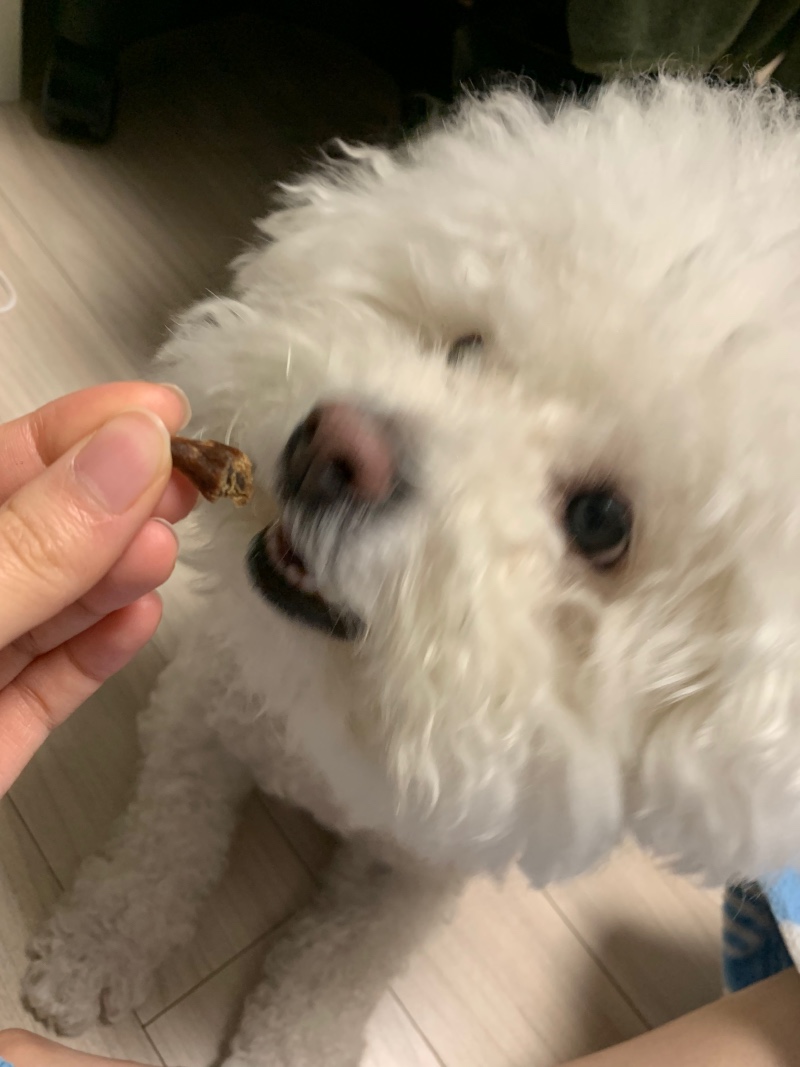 D00A12EA-0F13-4792-A680-0F0A78993488.jpeg