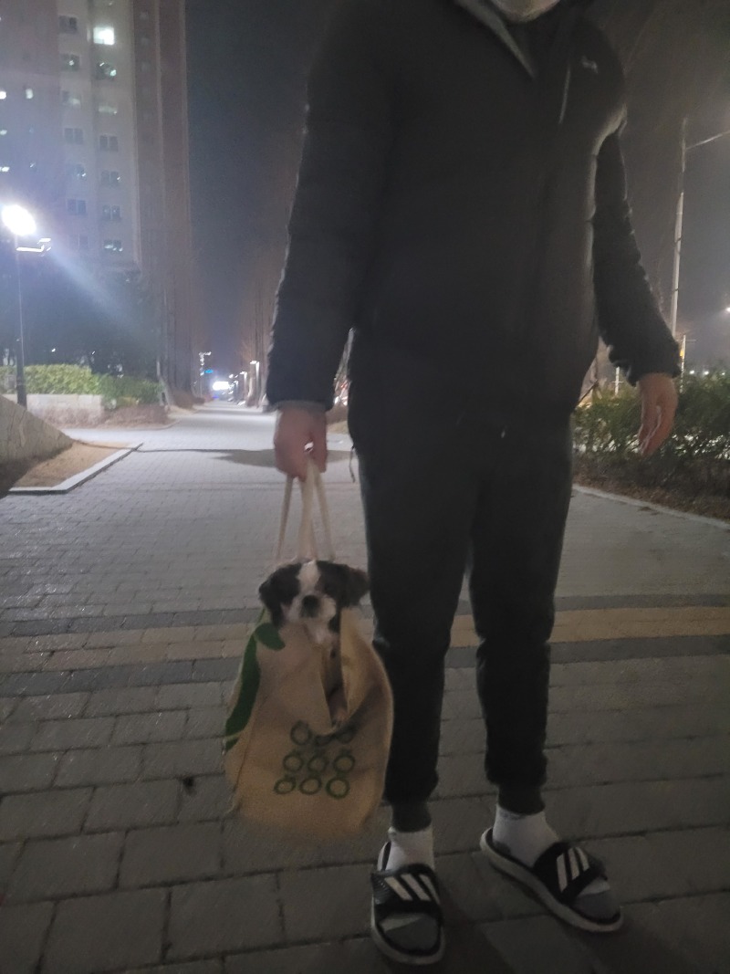 우리 영심이 귀엽죠?ㅎㅎㅎ