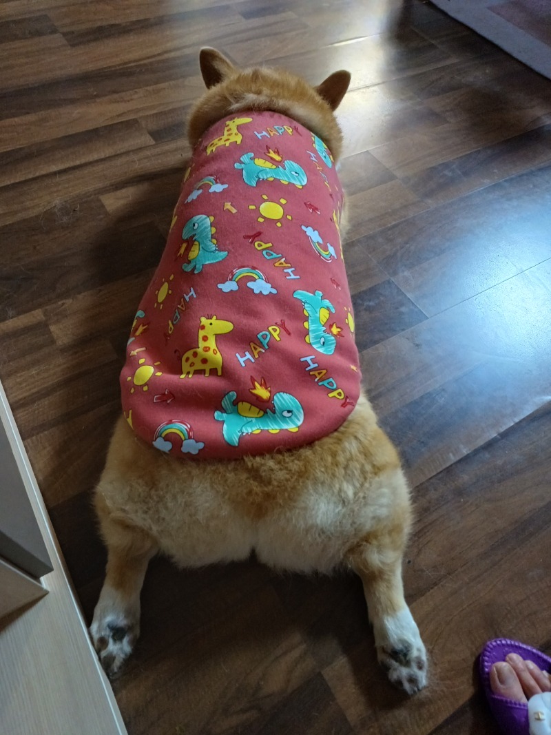 20230114_034532.jpg