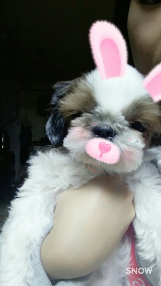 영심이 또 와써요!