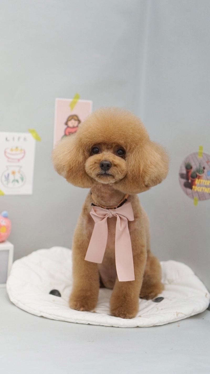 히어데어 미용실