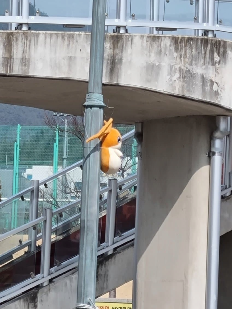 파닥몬 근황 