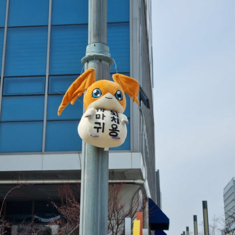 파닥몬 근황 