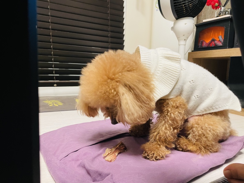 가장 즐거운 시간
